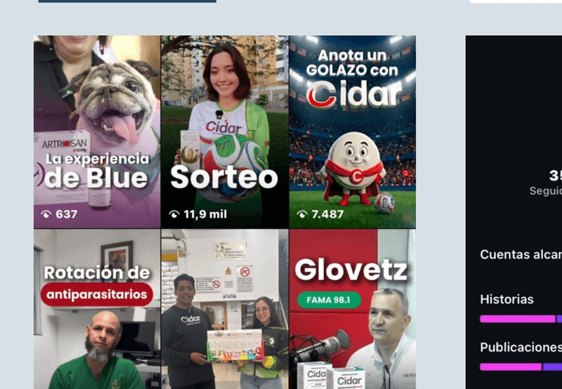 GloveTZ